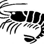 article image - 